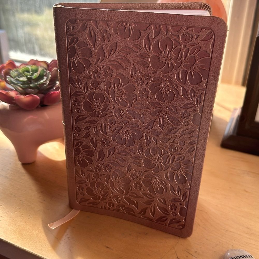 King James Version Holy Bible- small sized for traveling with